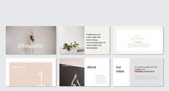 平面設(shè)計(jì)的全面審視 從PPT制作到專(zhuān)業(yè)素養(yǎng)的探討